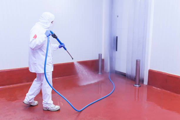 Best Sidewalk and Walkway Pressure Cleaning in Kensington, MD